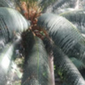 Meet your Posher, Eve robinson